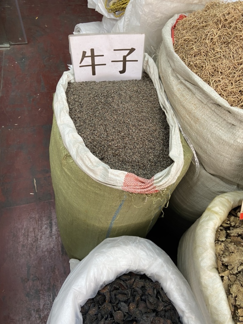 牛蒡子中药材牛蒡子茶籽大力籽