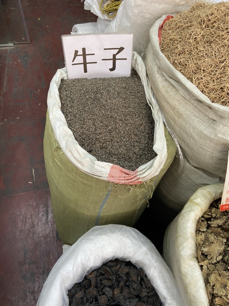 牛蒡子中药材牛蒡子茶籽大力籽