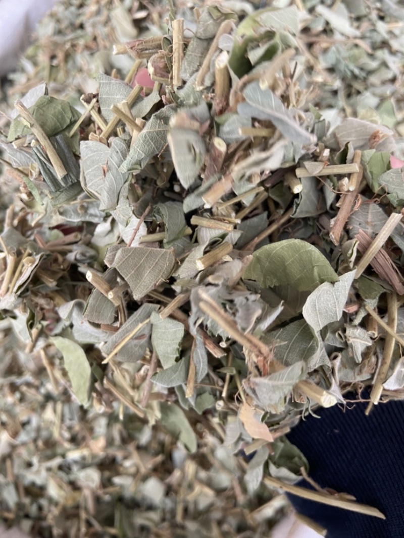 金钱草广西金钱草