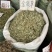 金钱草广西金钱草