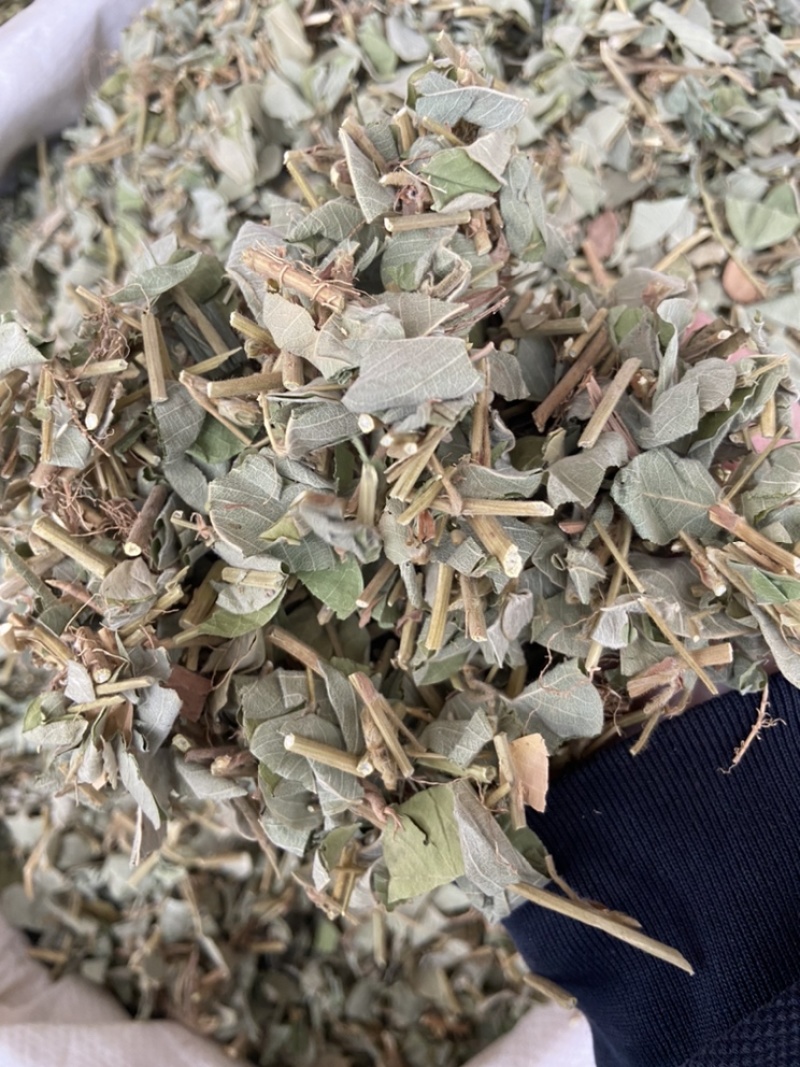 金钱草广西金钱草