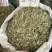 金钱草广西金钱草