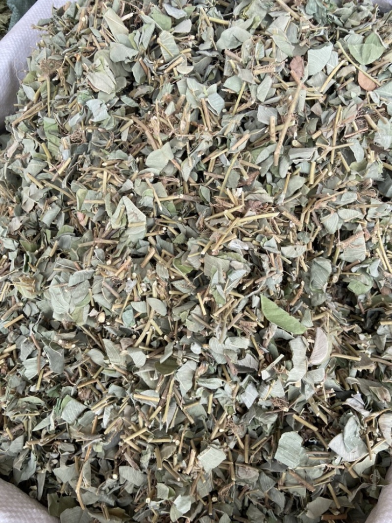 金钱草广西金钱草