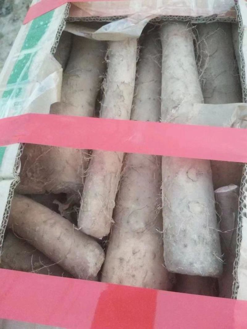 电商家货，精品咕噜