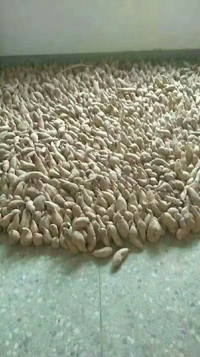 红薯干