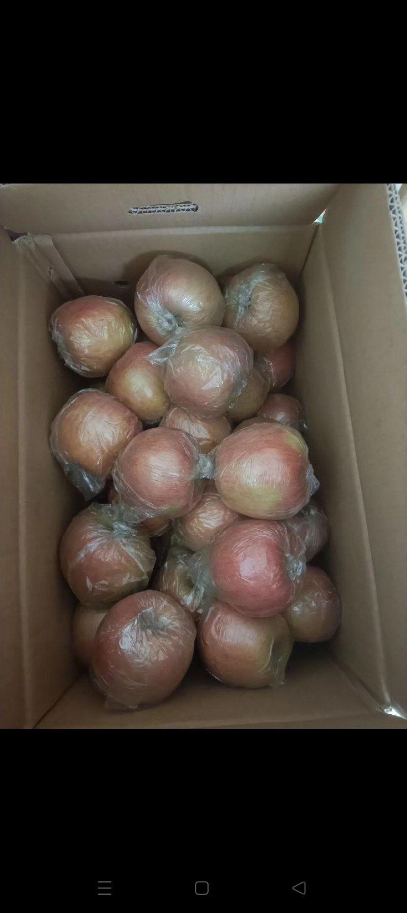 冰糖心红富士