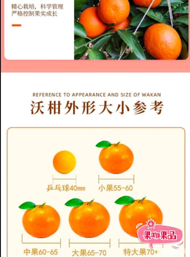 （热卖）沃柑广西沃柑价低质量好批发市场电商果一条龙服务！