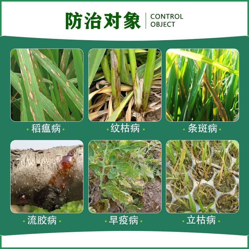 6%春雷霉素杀菌剂稻瘟流胶溃疡细菌性角斑病果蔬杀菌剂