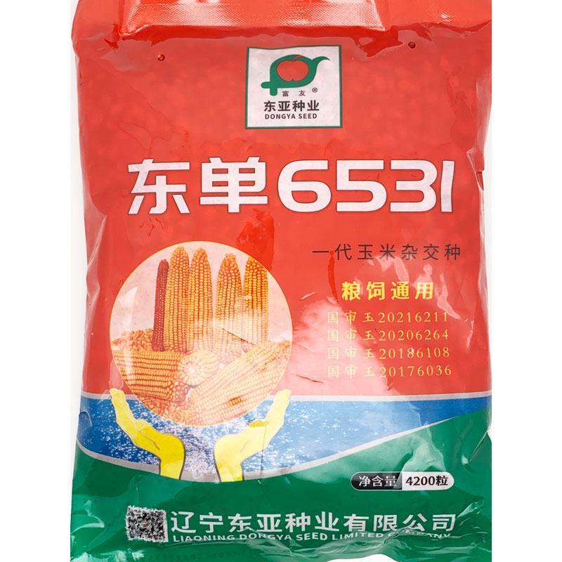 东单1331东单6531小钢炮饲料玉米种子高产大棒大田