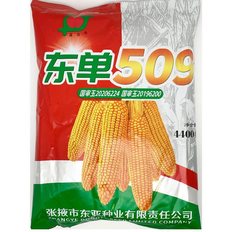 东单1331东单6531小钢炮饲料玉米种子高产大棒大田
