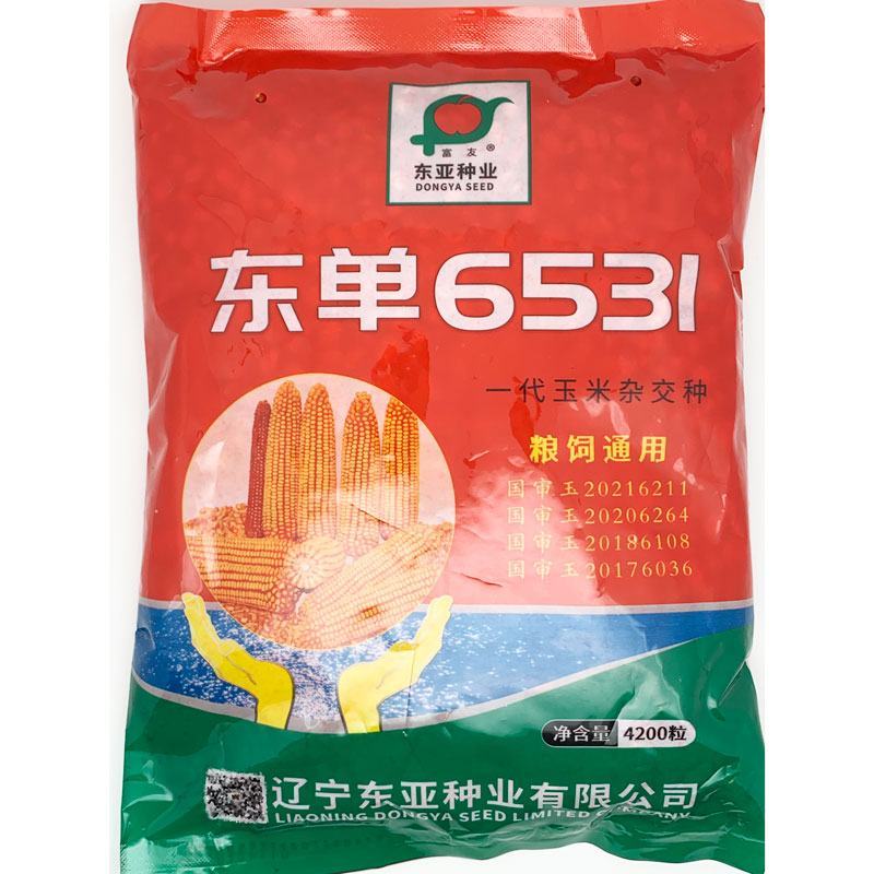 东单1331东单6531小钢炮饲料玉米种子高产大棒大田