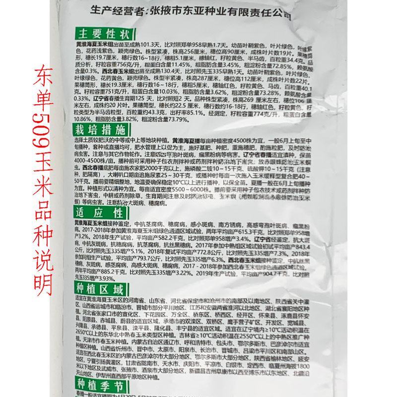 东单1331东单6531小钢炮饲料玉米种子高产大棒大田