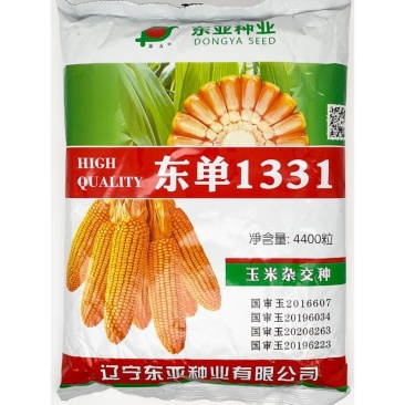 东单1331东单6531小钢炮饲料玉米种子高产大棒大田