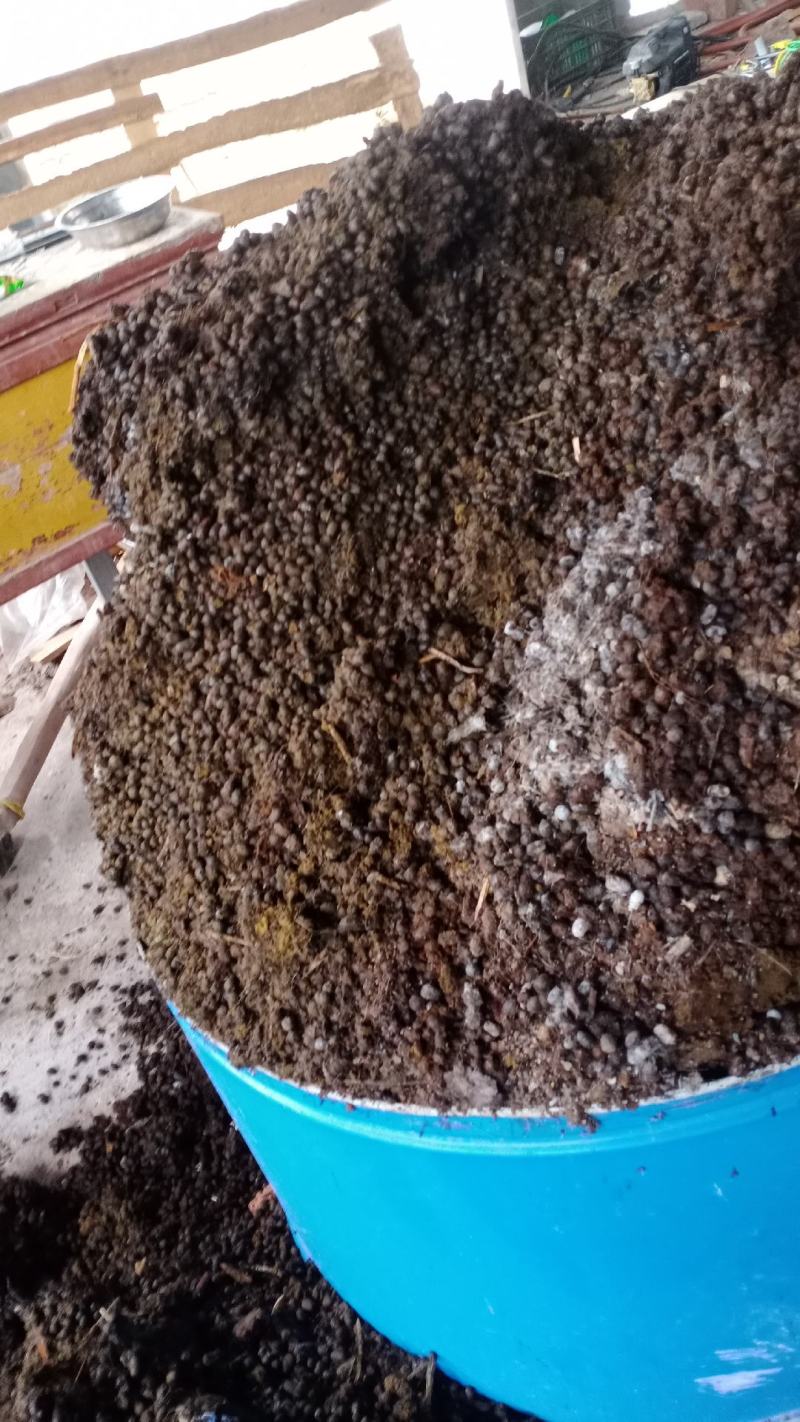发醇羊粪纯羊粪干羊粪颗粒状！要买速快！四川资阳