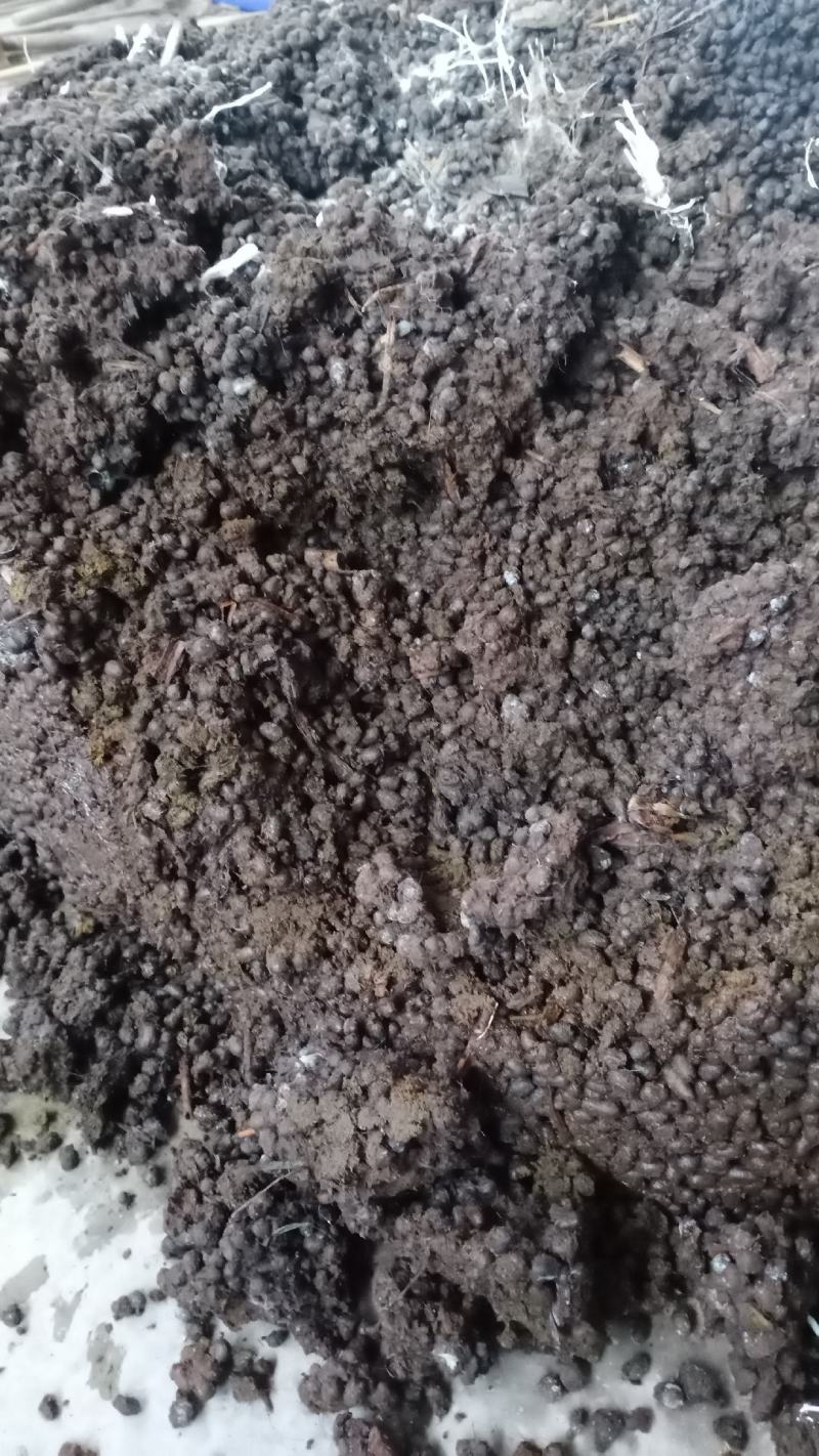 发醇羊粪纯羊粪干羊粪颗粒状！要买速快！四川资阳