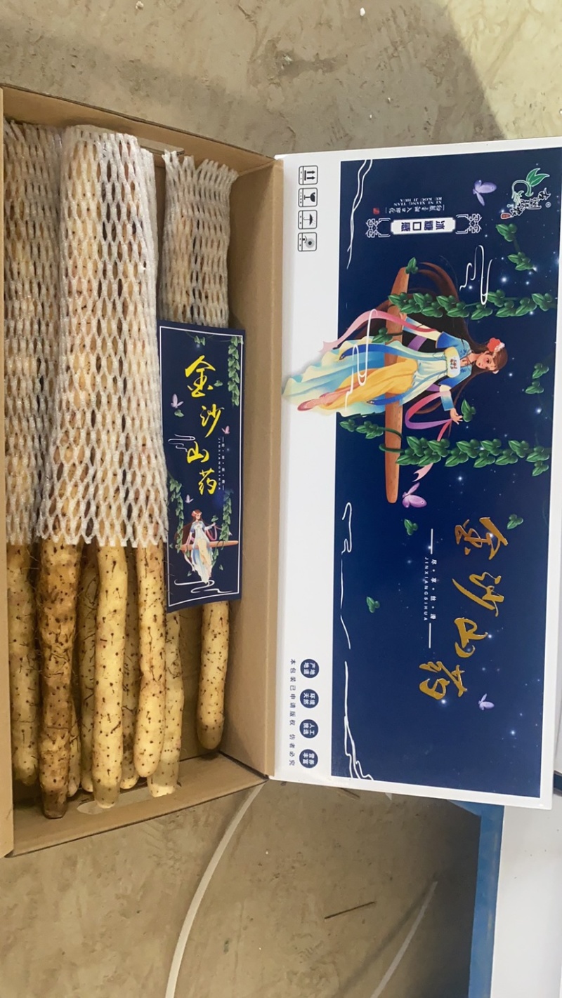 山东特产【金沙山药】新鲜当季口感甜糯对接电商团购档口