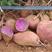 精品紫色番薯产地直发