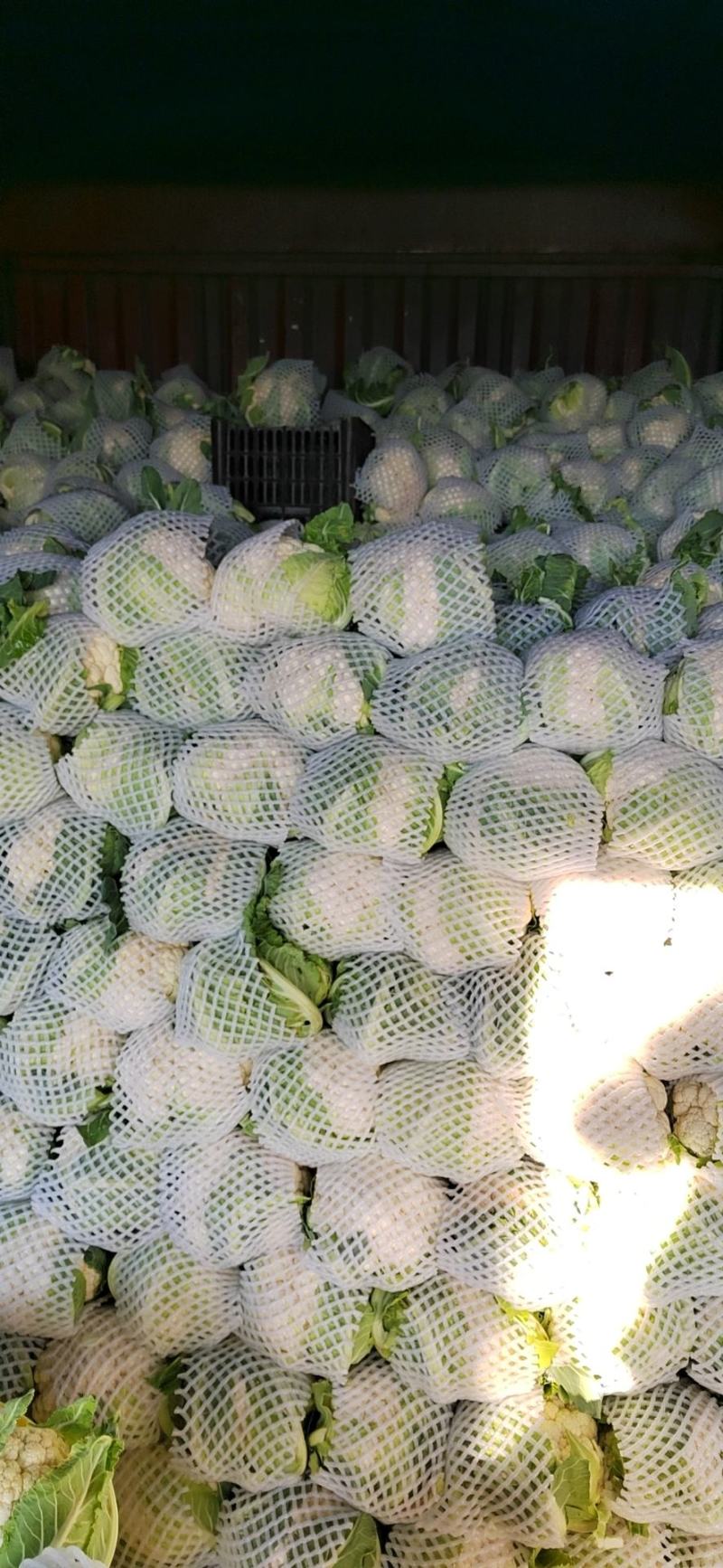 菜花，精品实花紧花！量大，支持各种车型！欢迎来电咨询