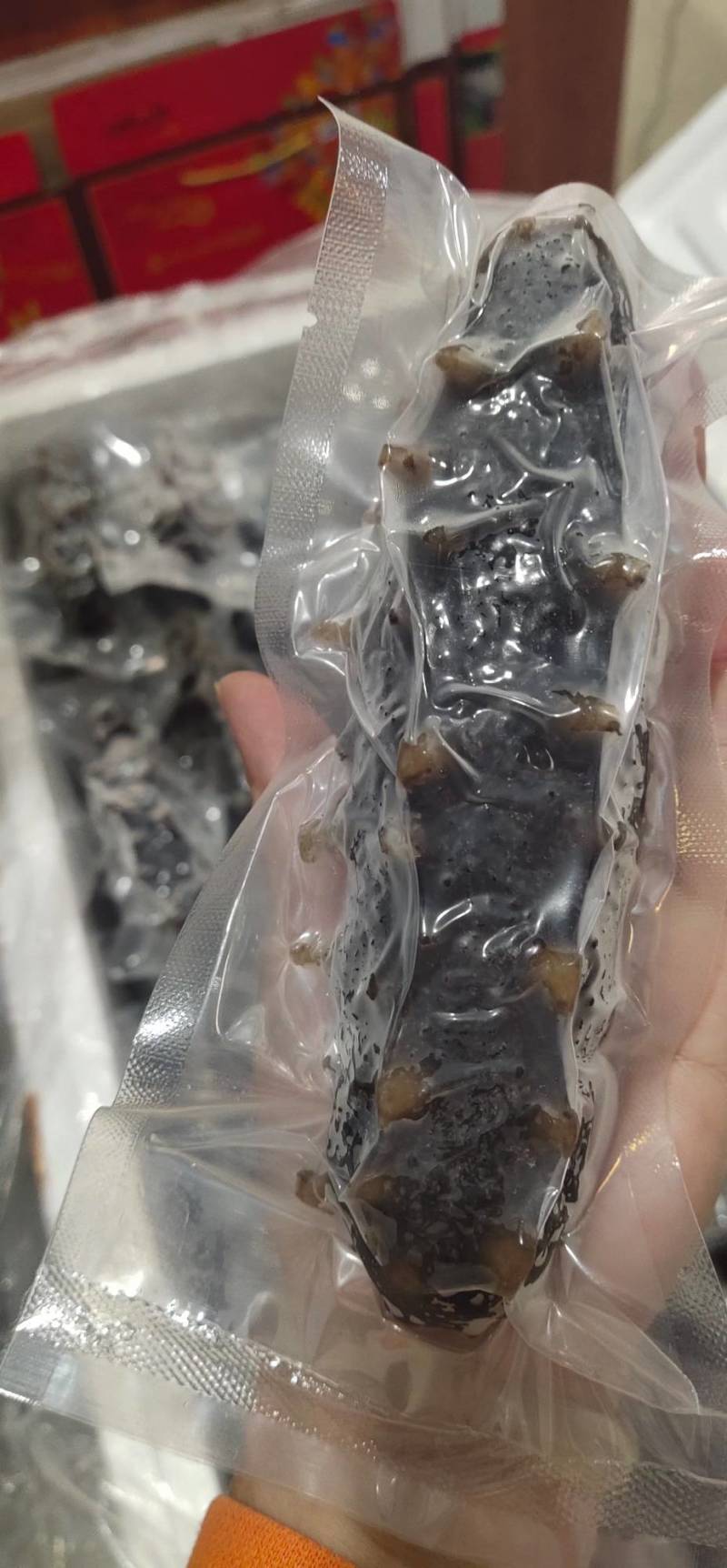 即食海参，鲜食海参，营养价值高食用方便