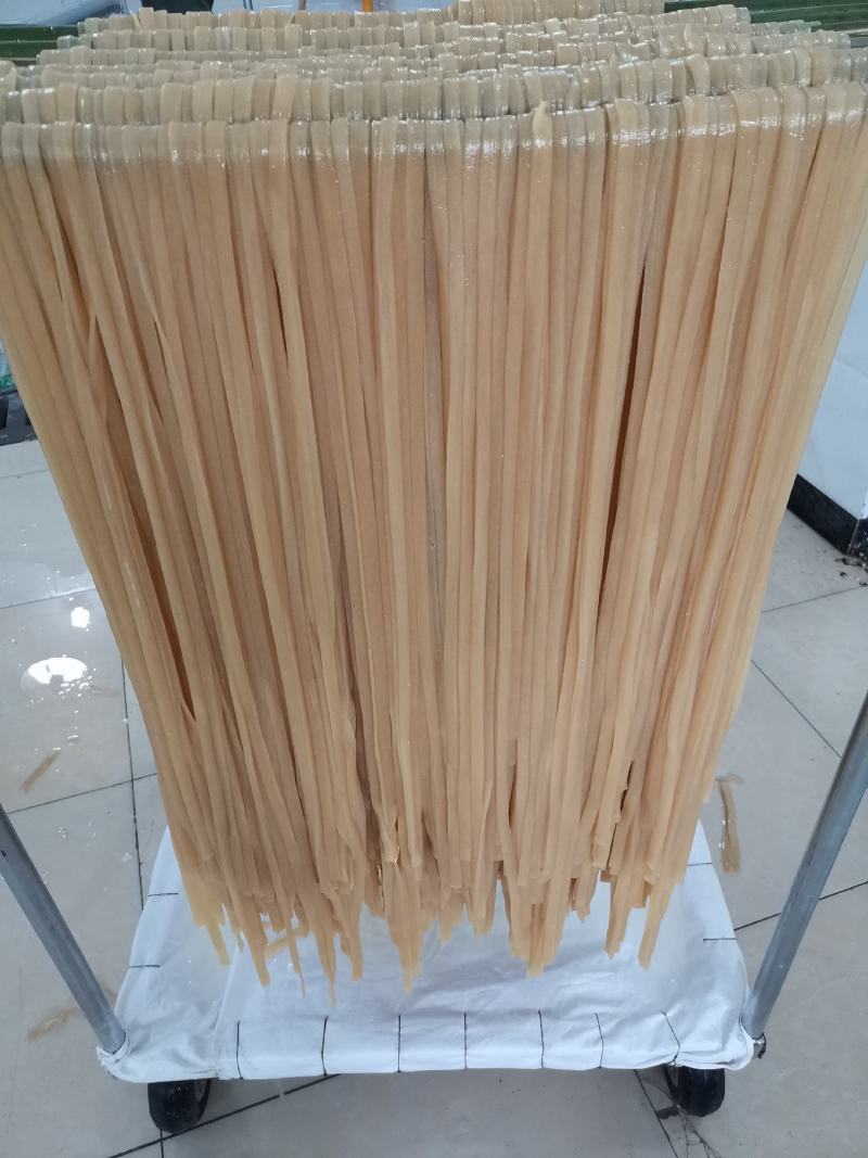 火锅川粉，芋头粉，土豆粉，保鲜粉条餐饮必备免泡