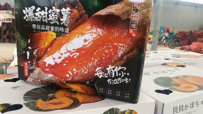 山东爆甜流油蜜薯全国发货品质保证对接市场商超电商