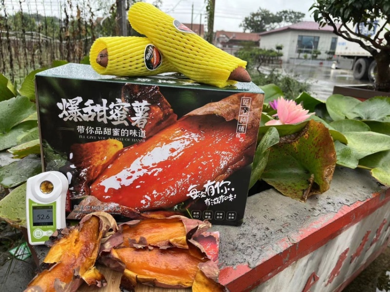 山东爆甜流油蜜薯全国发货品质保证对接市场商超电商