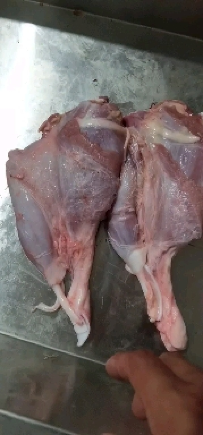 纯干血清后腿肉，小牛前腿，牛排，脊骨，全牛肉