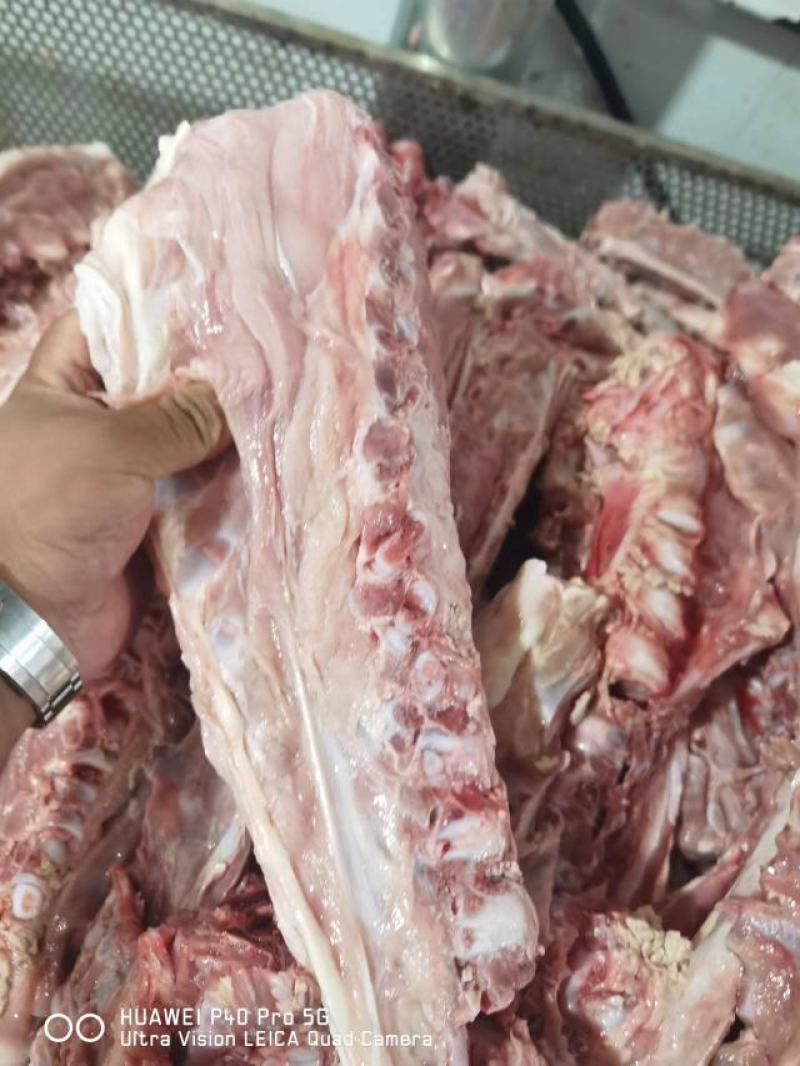 纯干血清后腿肉，小牛前腿，牛排，脊骨，全牛肉
