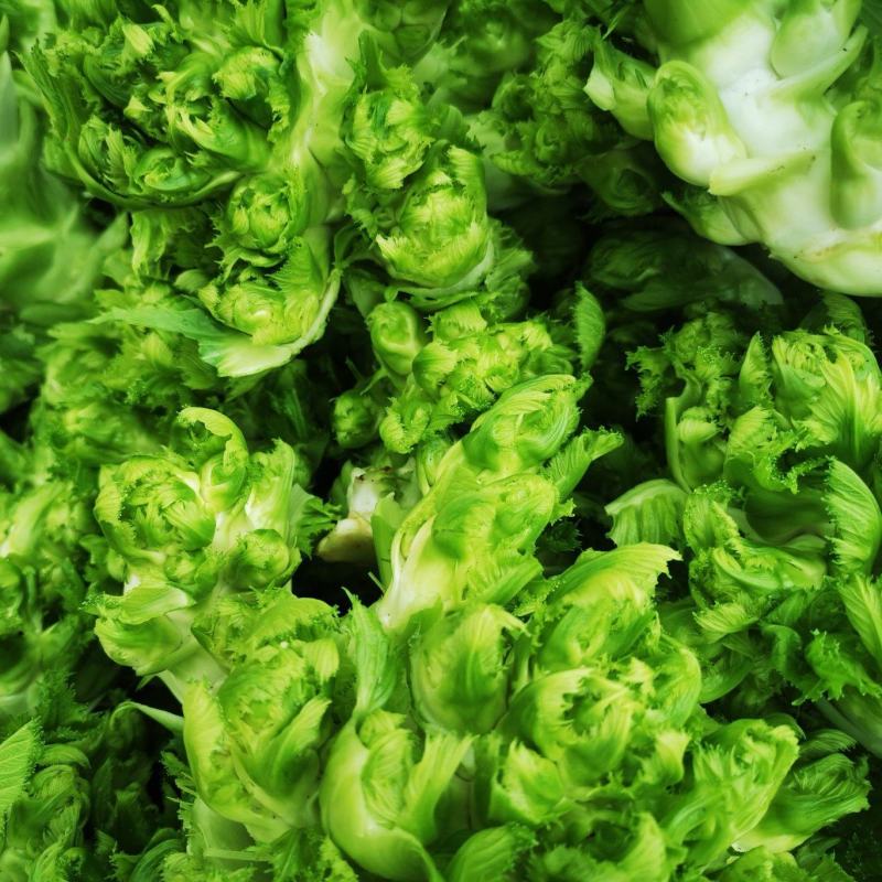 四川本地精品儿菜，有需要的老板欢迎电话联系
