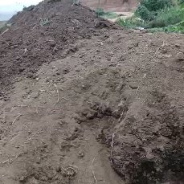 蚯蚓粪