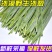 新鲜沙葱当天采收酒店餐厅饭店菜店食材特色蔬菜饺包子馅料