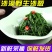 新鲜沙葱当天采收酒店餐厅饭店菜店食材特色蔬菜饺包子馅料