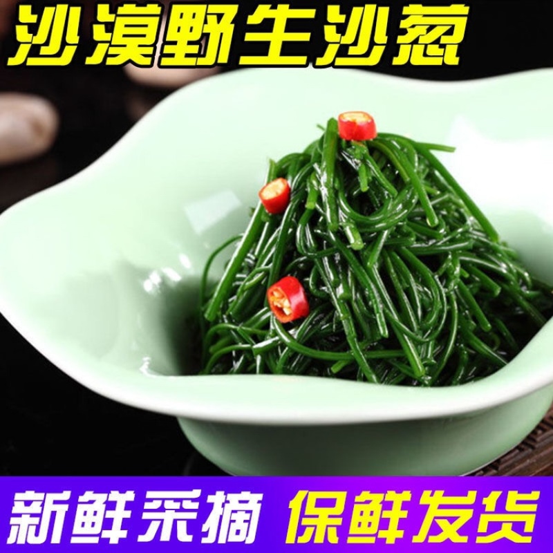新鲜沙葱当天采收酒店餐厅饭店菜店食材特色蔬菜饺包子馅料