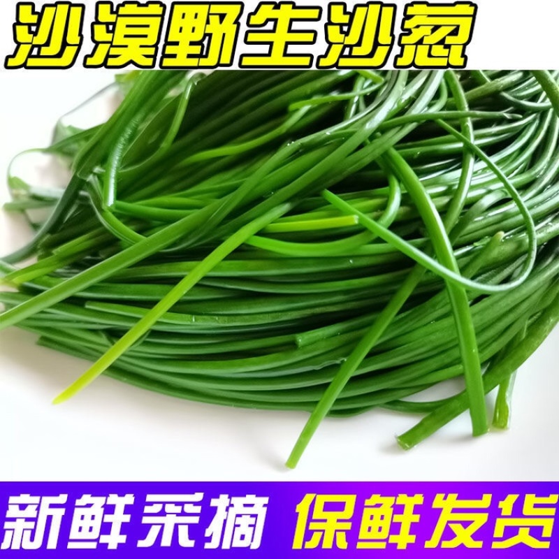 新鲜沙葱当天采收酒店餐厅饭店菜店食材特色蔬菜饺包子馅料