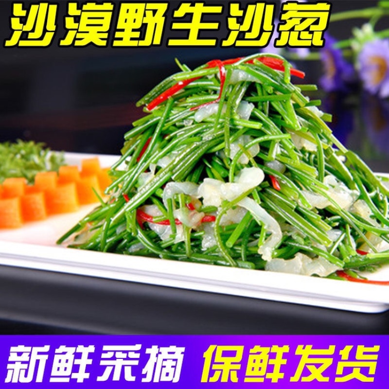 新鲜沙葱当天采收酒店餐厅饭店菜店食材特色蔬菜饺包子馅料