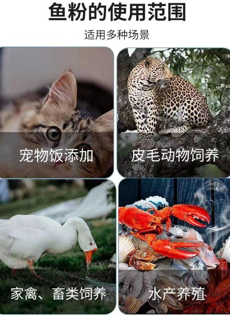 秘鲁进口鱼粉饲料养殖畜禽猪鸡鸭鹅狗鱼虾小龙虾