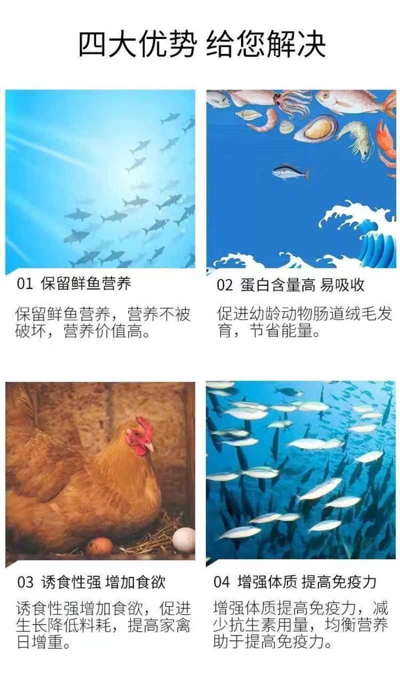 秘鲁进口鱼粉饲料养殖畜禽猪鸡鸭鹅狗鱼虾小龙虾