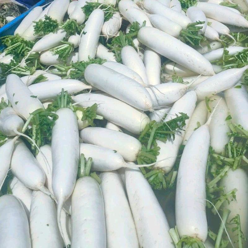 山地白萝卜，不绿头，质量美价格好。