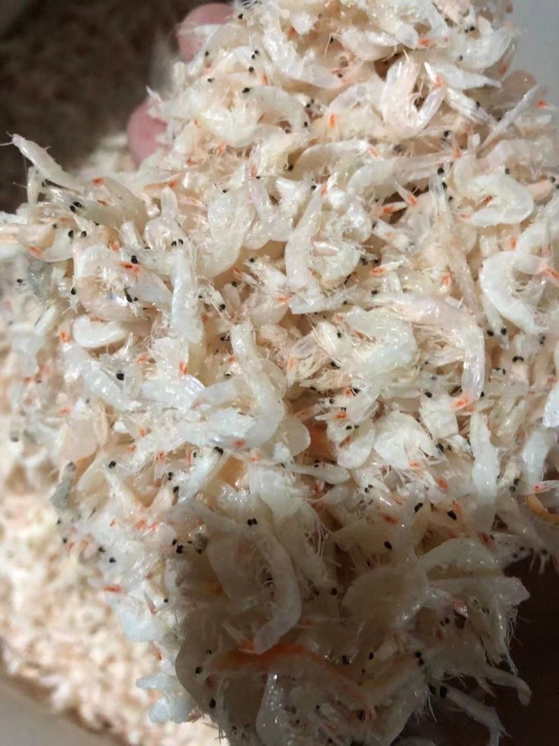 虾皮