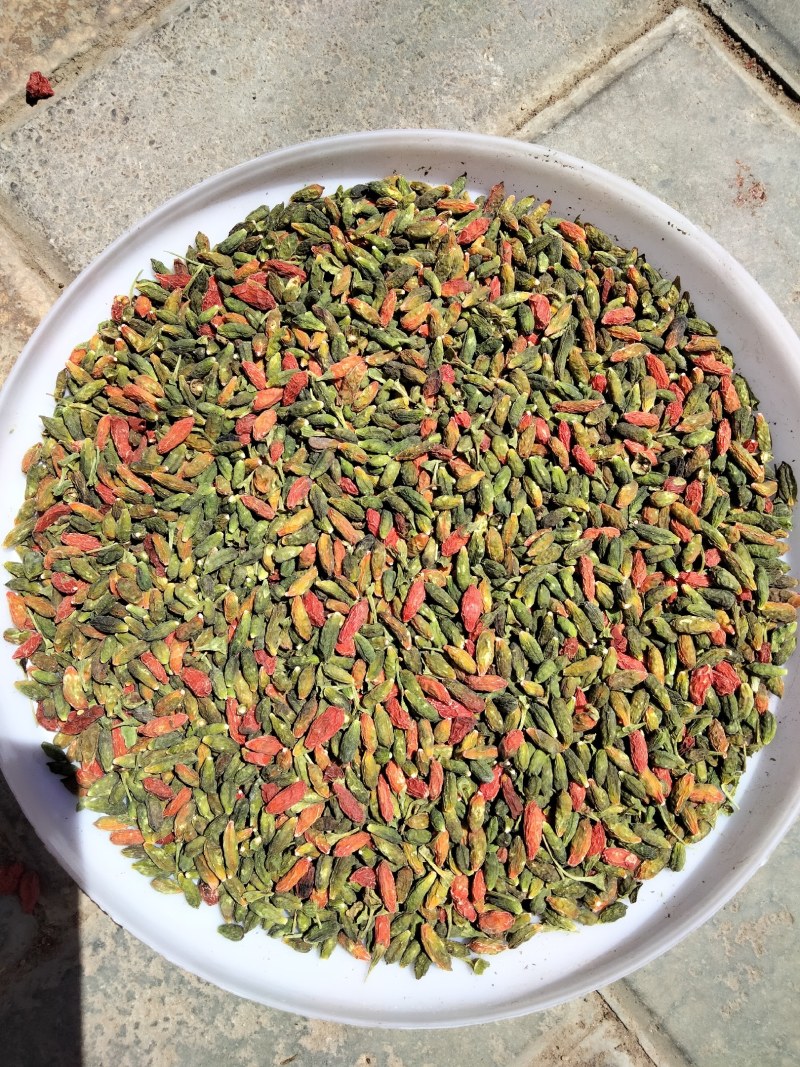宁夏红绿枸杞，产地直发，视频看货，整车发货，质量保证！