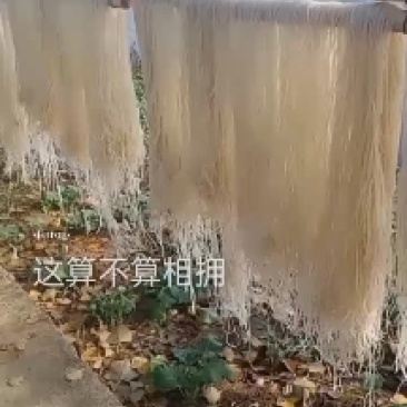 阜阳农家纯红薯粉丝，凭的是良心；卖的是质量
