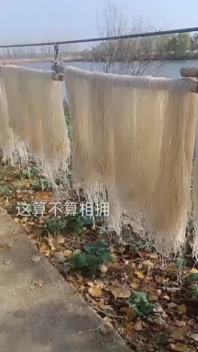 阜阳农家纯红薯粉丝，凭的是良心；卖的是质量