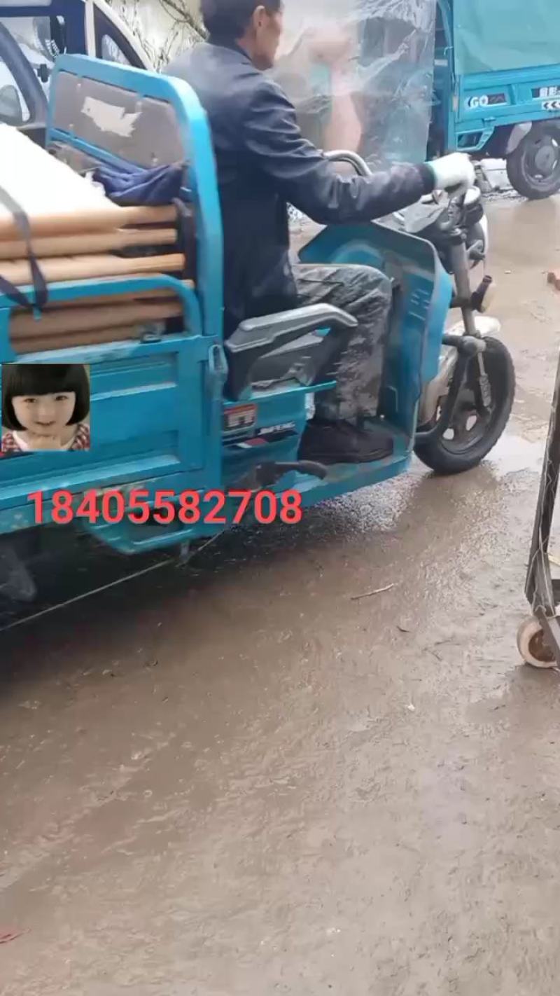 阜阳农家纯红薯粉丝，凭的是良心；卖的是质量