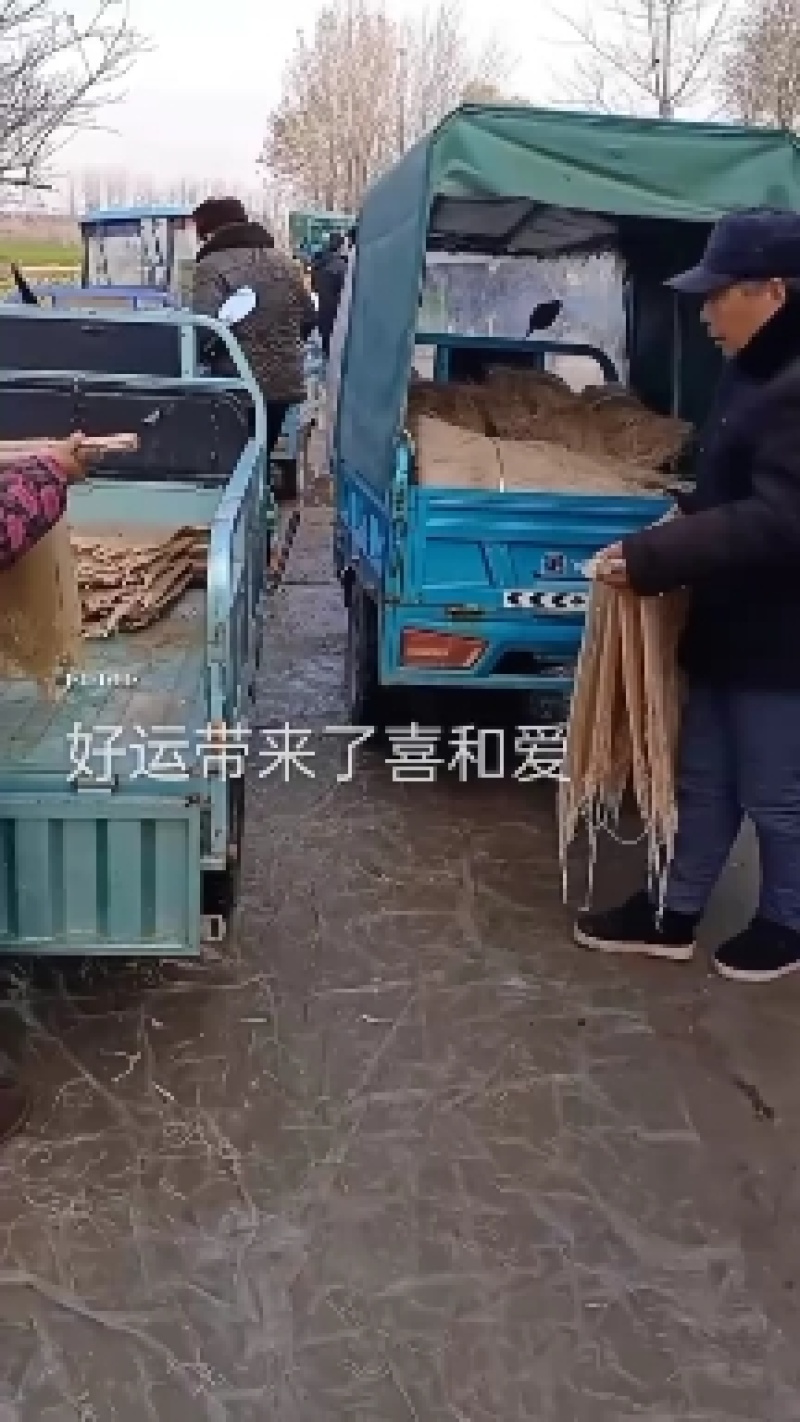 阜阳农家纯红薯粉丝，凭的是良心；卖的是质量