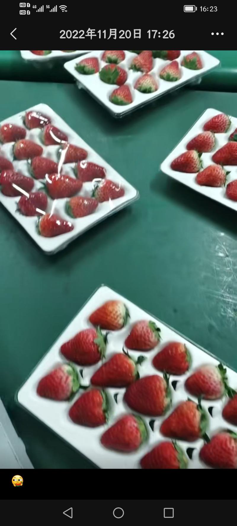 南通草莓