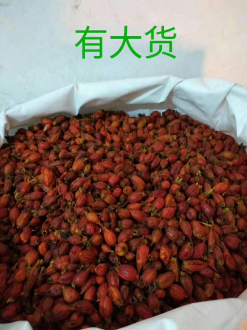 江西栀子批发中药材道地药材货源稳定规格齐全