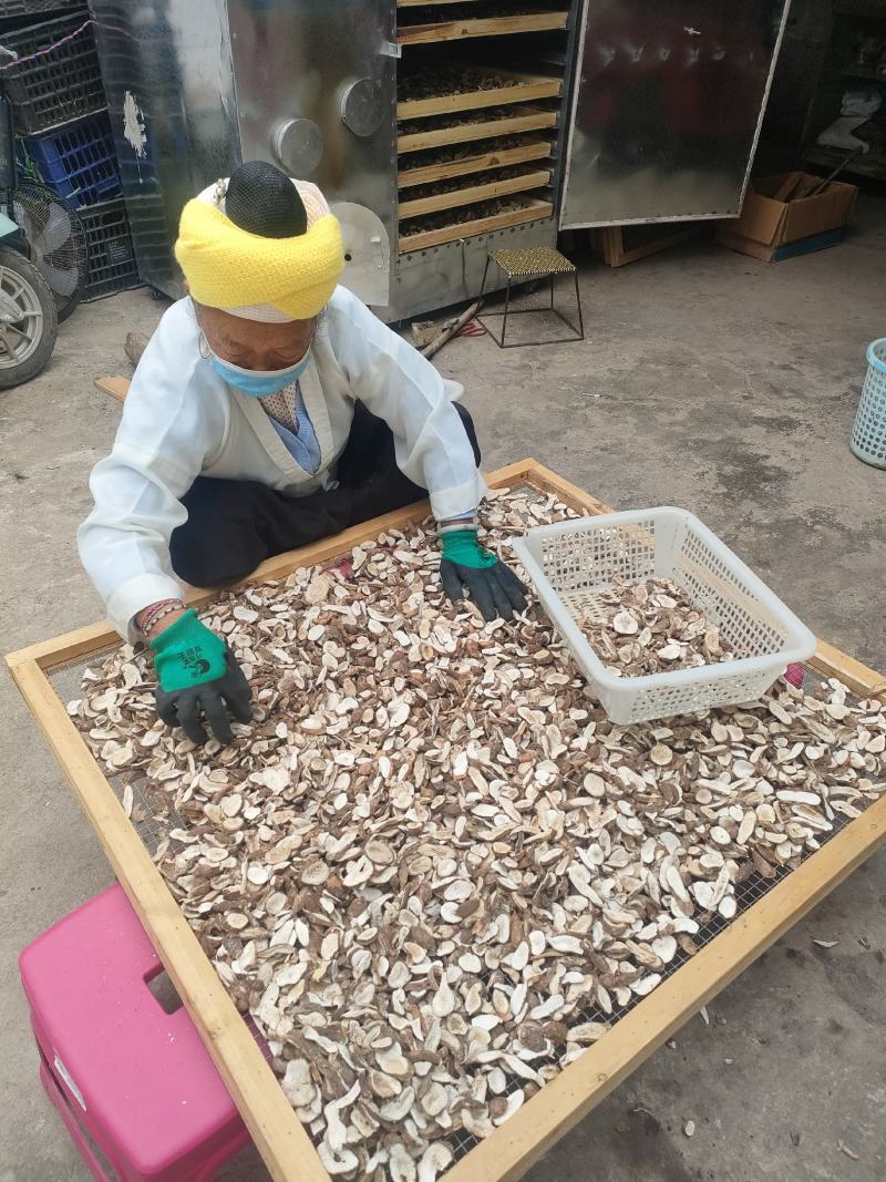 白粉藤根干片，粉藤头干片，原产地批发，