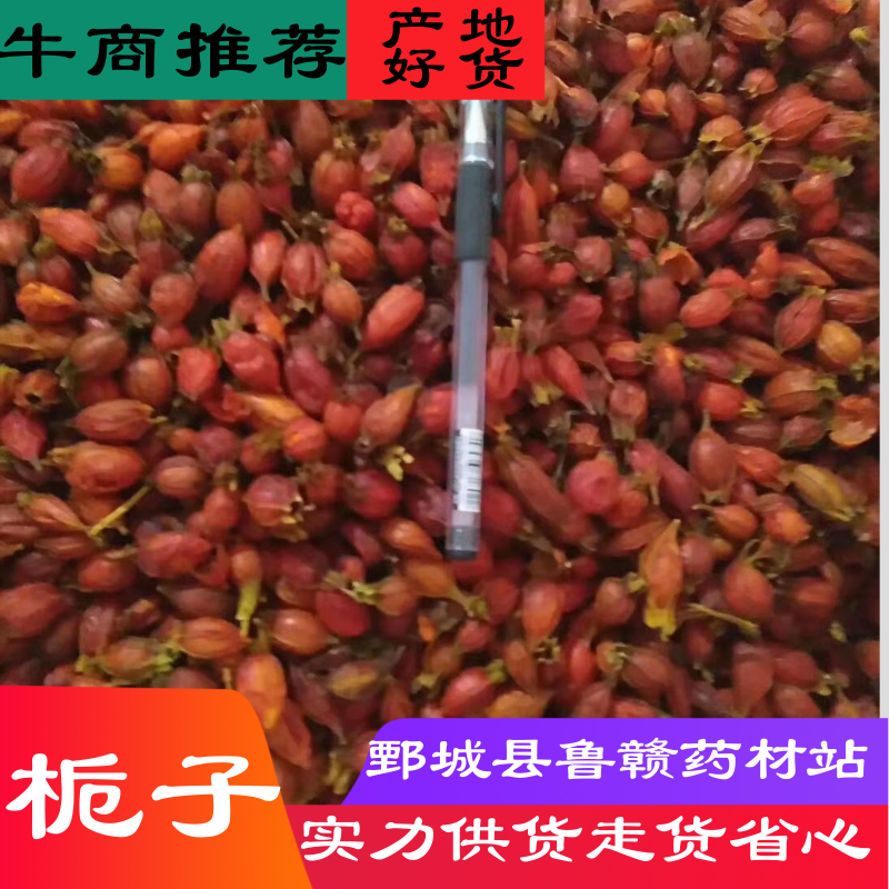 江西栀子批发中药材道地药材货源稳定规格齐全