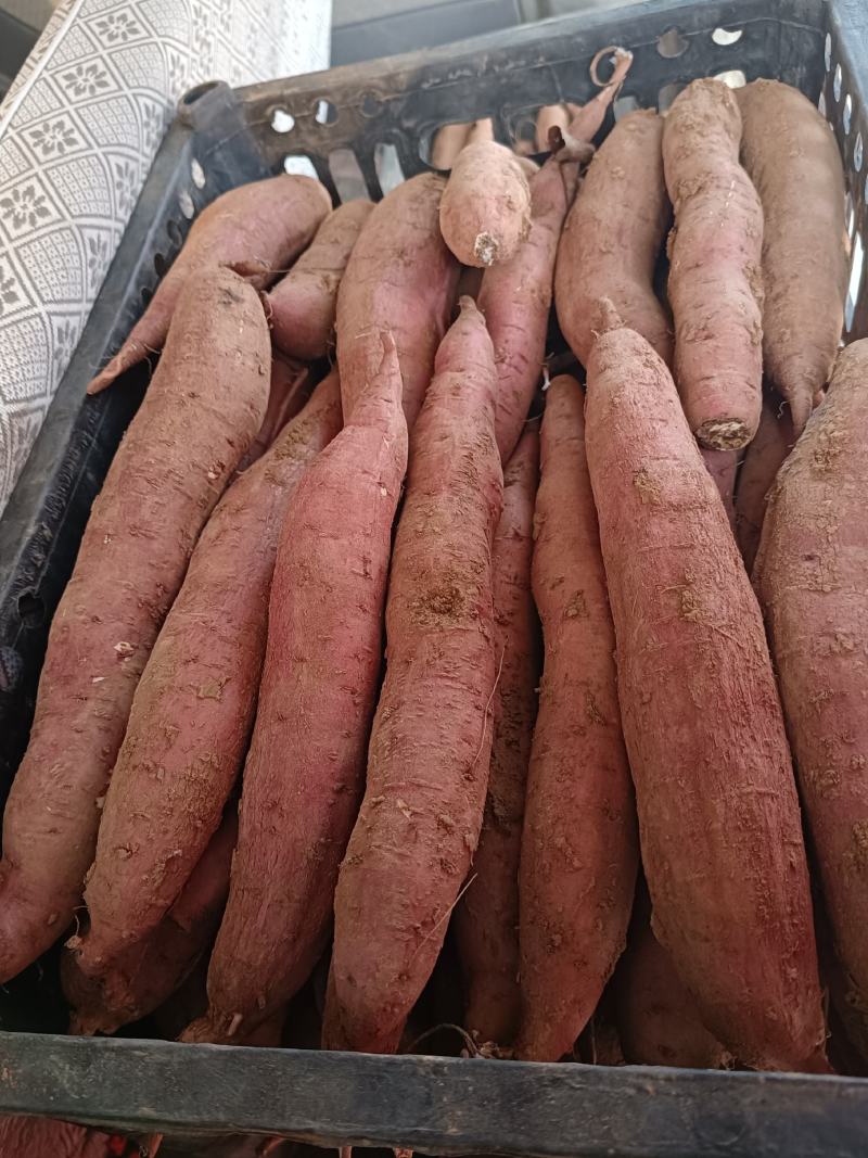 板栗红薯，