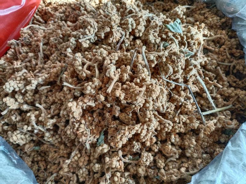 天然新晒农家枇杷花蕾干琵琶煲汤中药材零售批发